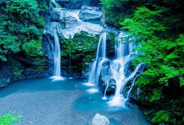Tokushima