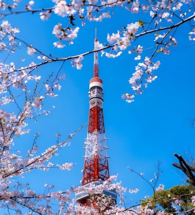 Japan & South Korea Cherry Blossom Cruise – 14 Nights