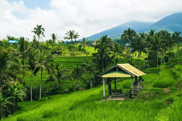 Ubud