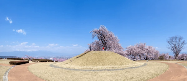 Yatsushiro