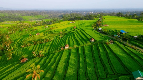 Bali Holiday