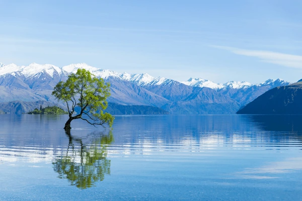 South New Zealand Alpine Escape – 8 Nights