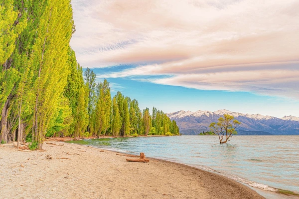 South New Zealand Alpine Escape – 8 Nights