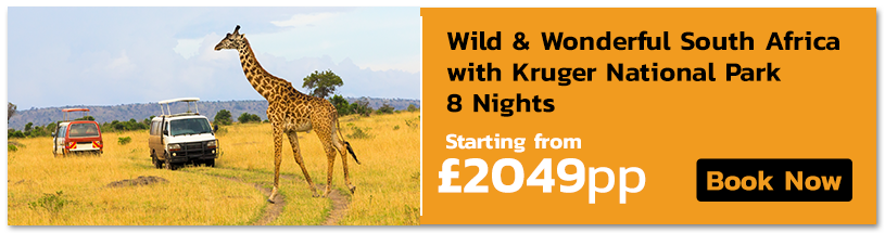 African safari holidays