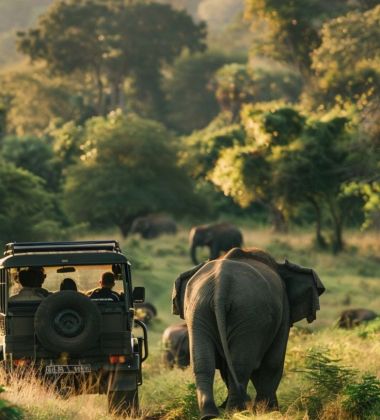 Vietnam & Sri Lanka Discovery